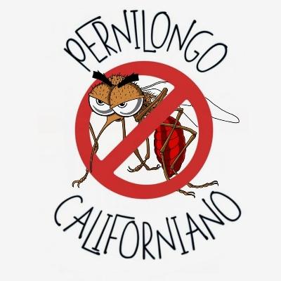 Pernilongo Californiano 