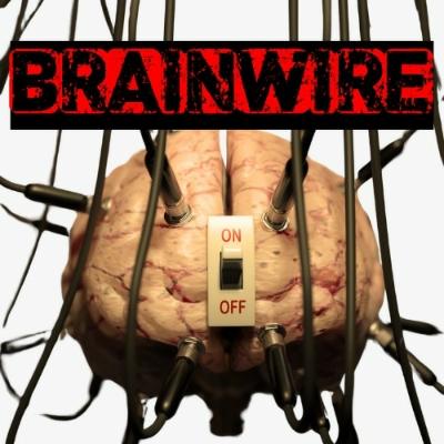 Foto da Bräinwire