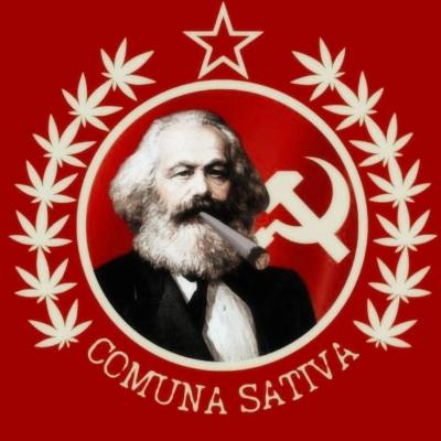 Foto de Comuna Sativa