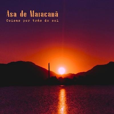 Foto da Asa de Maracanã